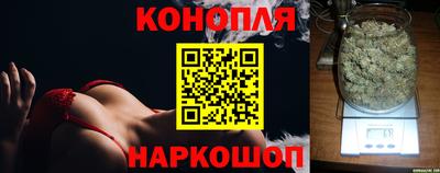 ешки Бердск